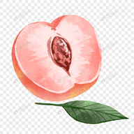 欧美日韩视频下载官方版APP应用